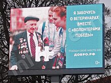 Орловских ветеранов назвали ветеринарами