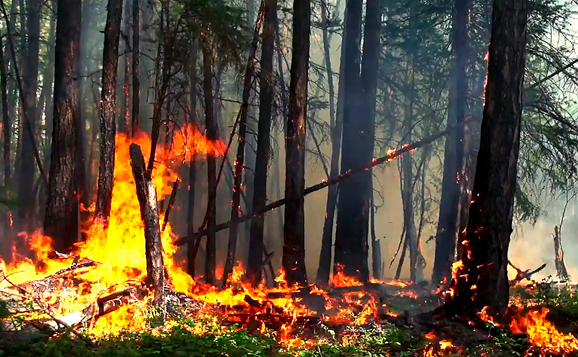 В России за сутки площадь лесных пожаров увеличилась в 17 раз