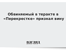 Обвиняемый в теракте в «Перекрестке» признал вину