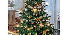 Психолог посоветовала отложить украшение елки до 31 декабря