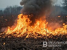 В Татарстане за сутки пожарные 16 раз реагировали на пожары