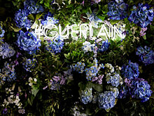 Всемирный день пчел с Guerlain: Марина Кравец, Карина Нигай, Виктория Дайнеко и другие звезды