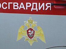 Два генерала Росгвардии уходят с должностей в «никуда»