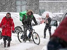 Поторопившийся курьер на велосипеде и легковушка столкнулись в центре Петербурга