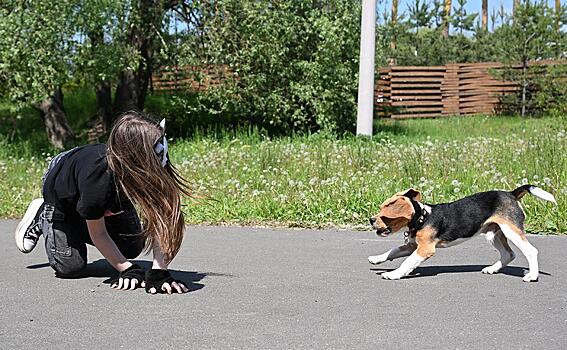 В РПЦ сообщили о работе над запретом пропаганды субкультуры квадроберов