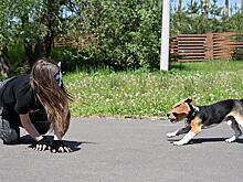 В РПЦ сообщили о работе над запретом пропаганды субкультуры квадроберов