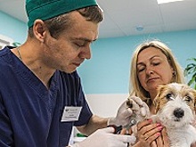 Записаться к ветеринару можно теперь на mos.ru