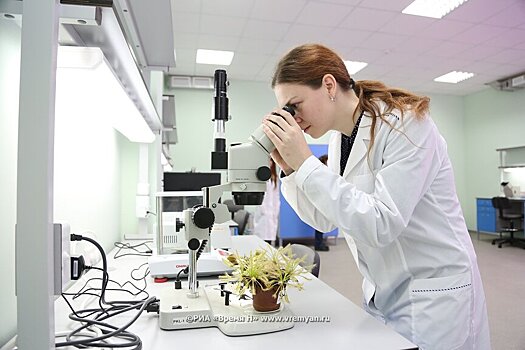 Более 184 тысяч жителей Нижегородской области сдали тесты на COVID-19