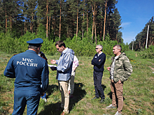 Томские активисты ОНФ добиваются ликвидации несанкционированных свалок в охранных зонах ЛЭП