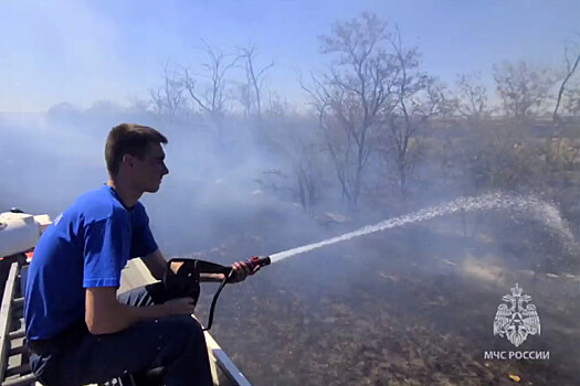 В Крыму ликвидировали открытое горение на ландшафтном пожаре