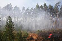 В Туве продлили противопожарный режим: сроки