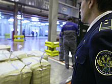 СП указала на коррупционные риски во Внуковской таможне в 2017 году