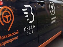 Ботинки для собаки и 10 кг мяса забывали с начала года в машинах BelkaCar в Москве
