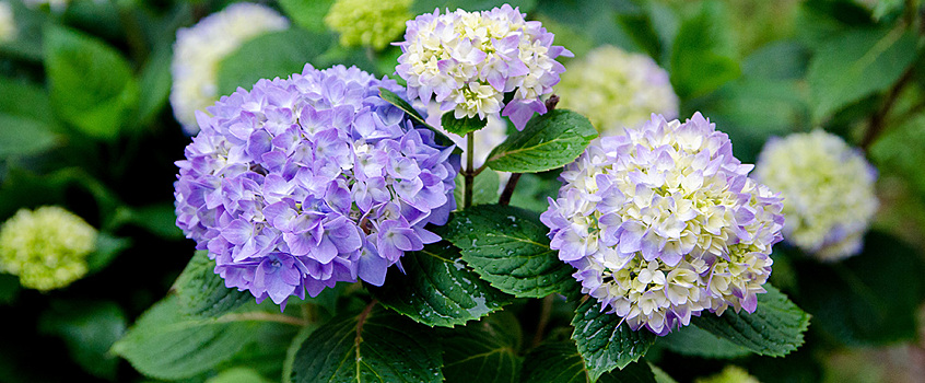 Мокрый снег и дождь прогнозируют в Удмуртии 10 марта