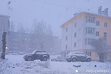 Часть Свердловской области вновь завалило снегом