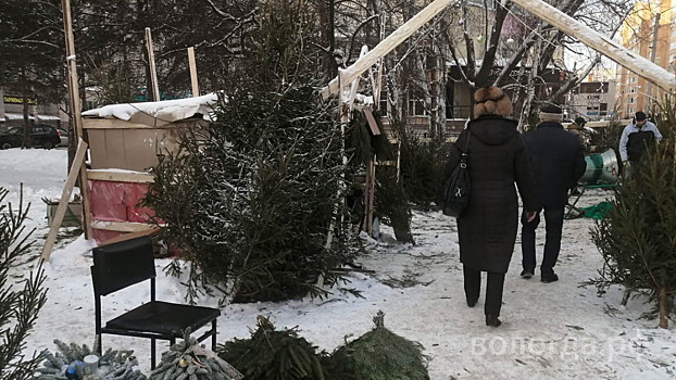 Рейд по елочным базарам прошел в Вологде