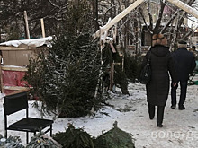 Рейд по елочным базарам прошел в Вологде