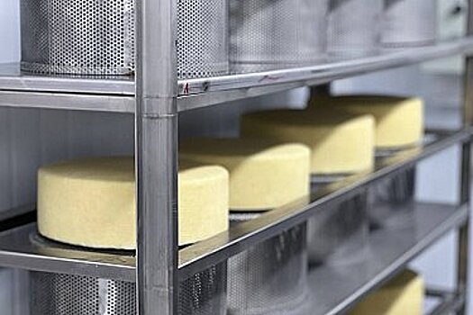Хабаровские фермеры начали производить собственный сыр