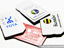 Правозащитник Шлыков: Необходимость ужесточить контроль за SIM-картами для иностранцев назрела давно