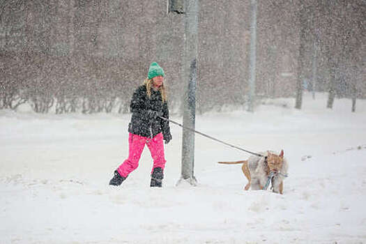 Пик снегопада в Москве и области может прийтись на период с 03:00 до 06:00