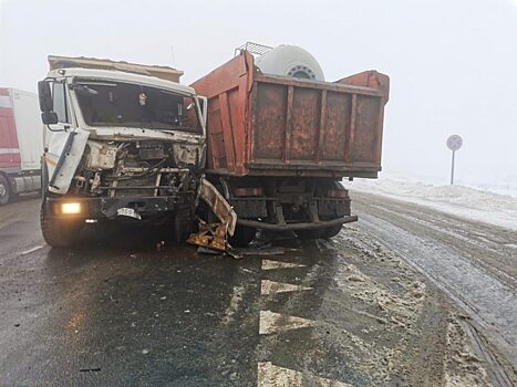 Под Саратовом столкнулись четыре большегруза. ФОТО