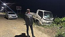 СУСК по Сахалинской области: пьяный водитель грузовика сбил четырех детей