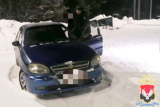 В Удмуртии 16-летний юноша избил женщину и угнал машину