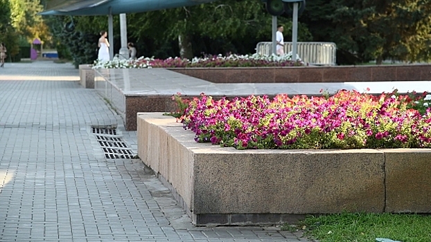 Неизвестные украли цветы с городских клумб в Волгограде