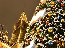 Психологи дали советы одиноким по встрече Нового года