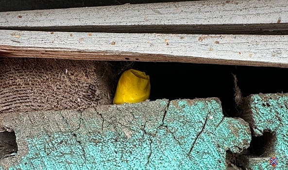 В Волгограде иностранцу грозит до 20 лет колонии за покушение на сбыт наркотиков