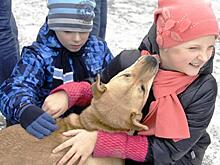 От любви до ненависти – один оскал