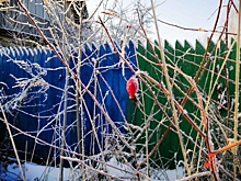 Приморье готовится к резкому похолоданию: возможен снег