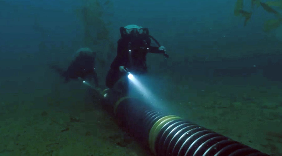 �&nbsp; �������� ������������ ������������ ���������� � ������� 