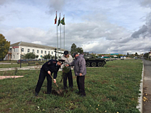 В Оренбургской области сотрудники полиции, ветераны, общественники и представители администрации Абдулинского района приняли участие в акции «Лес Победы»