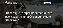 "Переезд - это страшно затратно": что происходит в петербургском приюте "Полянка"?