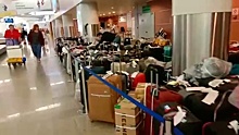 В Шереметьево вновь начались проблемы с багажом: видео