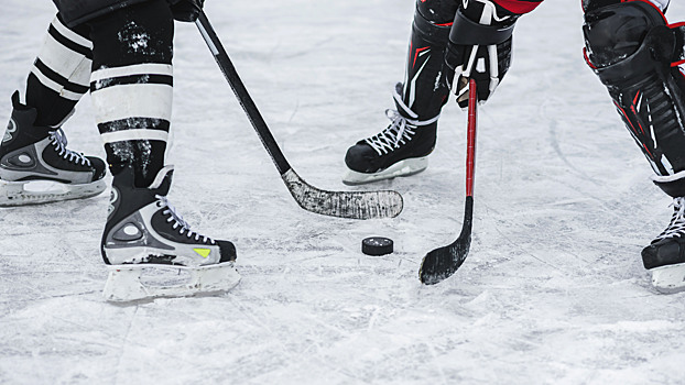 Хоккейный фестиваль «Студеный лед» пройдет в начале весны в подмосковном Королеве