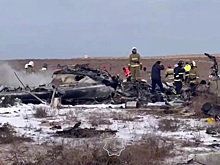 Специалист объяснил, почему нельзя было избежать столкновения самолёта AZAL над Актау с птицами