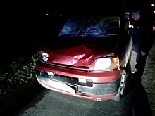 Пьяный водитель сбил двоих детей в Свердловской области
