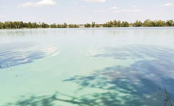 В Татарстане запустят эксперимент по борьбе с сине-зелеными водорослями