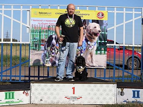 В Омске завершились соревнования по спортивно-прикладному собаководству