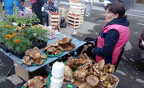 Ядовитые грибы начали продавать в Новосибирске