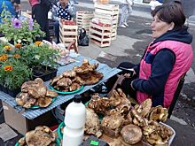 Ядовитые грибы начали продавать в Новосибирске