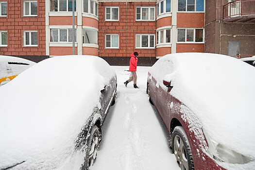 МВД изучит предложение об отмене штрафов за разметку и парковку в снегопад