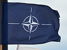 Протестующие в Париже разорвали флаг НАТО