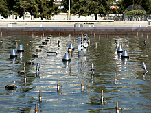 В Пензе 5 сентября после запуска нового фонтана выступит группа Burito