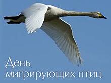 Этот день в календаре. 10 мая.