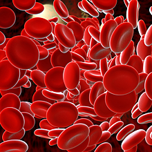 В Японии изобрели искусственную кровь, подходящую абсолютно любому человеку
