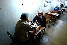 Турнир по шахматам организовали в районе