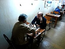Турнир по шахматам организовали в районе